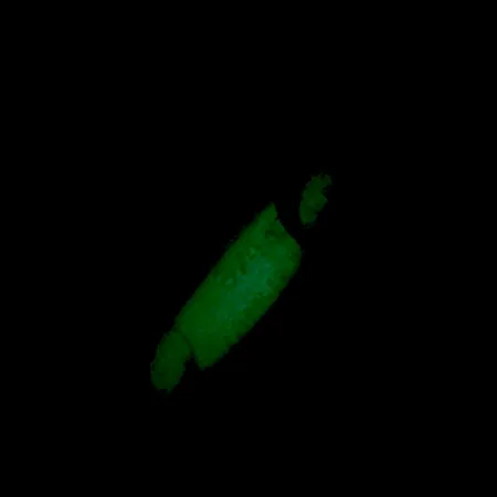 Luhr Jensen Crippled Herring UV (świeci w ultrafiolecie i w ciemności), biały/zielony UV Glow - świeci w ciemności i ultrafiolecie, 21 g błystka wahadłowa #5921