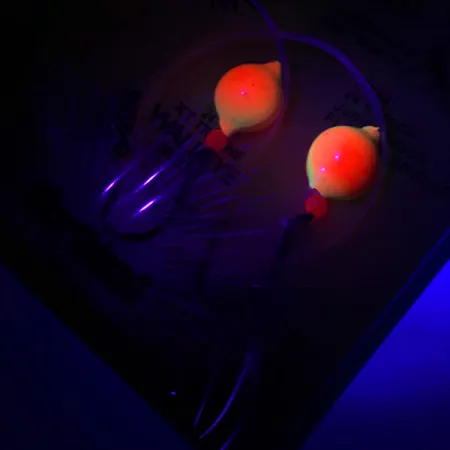 Northland Live Fishing Bait Roach Rig UV (świeci w ultrafiolecie), pomarańczowy/neonowy #5967