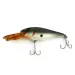  Rebel Double Deep Shad, naturalny szary, 11 g wobler #6018