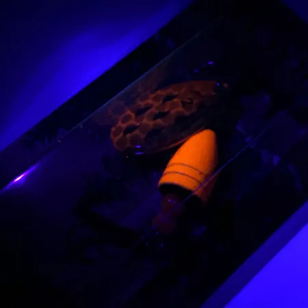 Luhr Jensen Fire Max Miracle 2 UV (świeci w ultrafiolecie), Krewetka, 7 g błystka obrotowa #6044