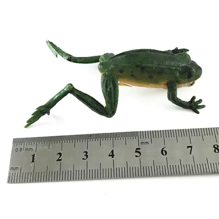 Other Delong Frog, zielony, 5 g #6251