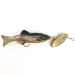 Renosky Lures Renosky Sonic Swing Minnow, Pstrąg tęczowy (Rainbow trout), 6 g  #6515