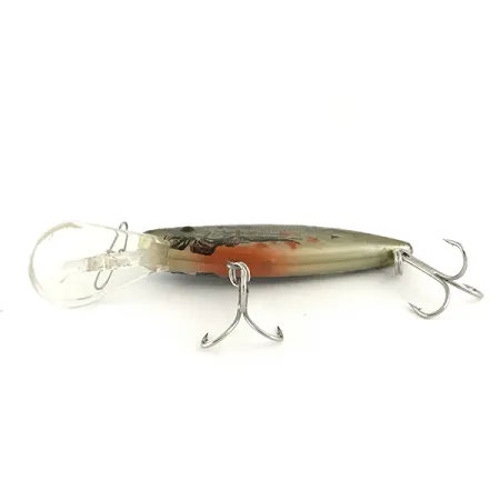 Bill Lewis DIVIN' MAG TRap Rat-L-Trap Floater, 11 g wobler #6569