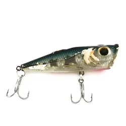 Matzuo Popper