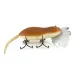  Fred Arbogast JITTER MOUSE, brązowy, 4 g wobler #8095