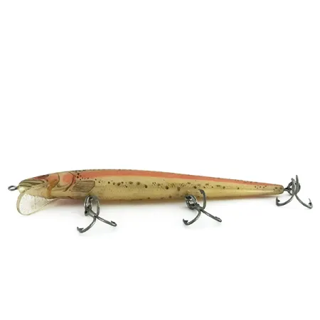 Rebel Floater, pstrąg (trout), 10 g wobler #8506
