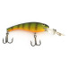  Cotton Cordell Wally Diver, Okoń (perch), 14 g wobler #8888