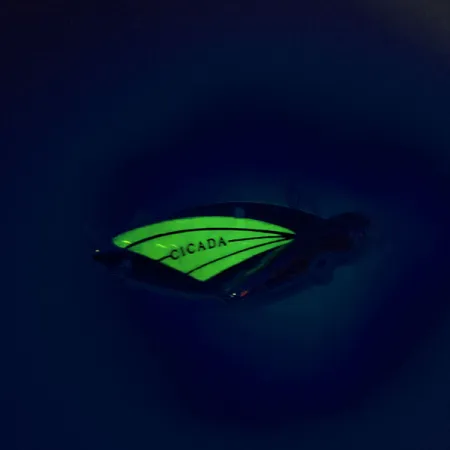 Reef Runner Cicada, nikiel/zielony, 14 g błystka wahadłowa #9560