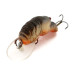  Rebel WEE-Crawfish Shallow, Krewetka, 6 g wobler #9965